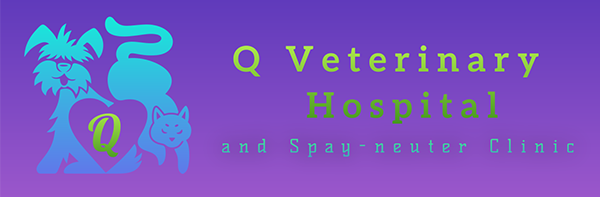 Q Veterinary Hospital